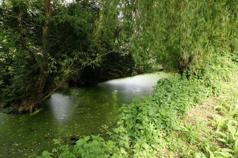 Vue extérieure de l'écoparc des Chènevières à Déols - Agrandir l'image 9 sur 9, fenêtre modale