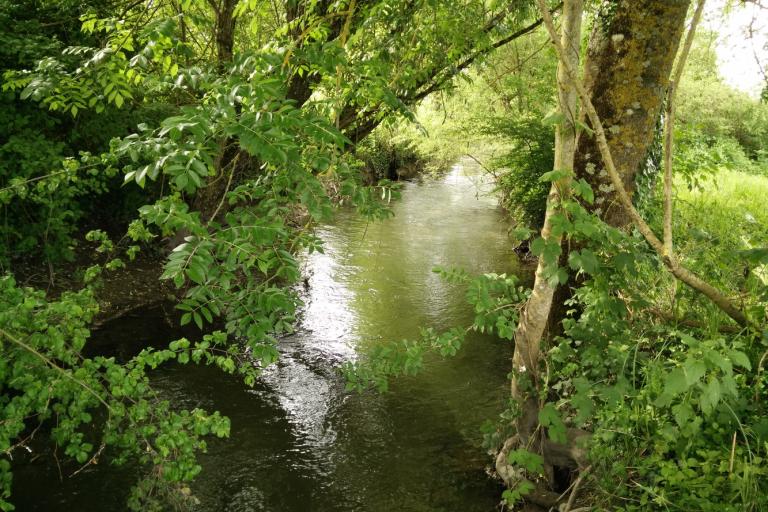 Vue extérieure de l'écoparc des Chènevières à Déols - Agrandir l'image 7 sur 9, fenêtre modale