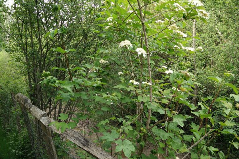 Vue extérieure de l'écoparc des Chènevières à Déols - Agrandir l'image 8 sur 9, fenêtre modale