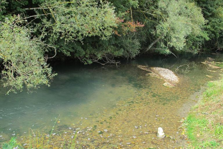 Les sources de la Théols à Ambrault & Bommiers - Agrandir l'image 4 sur 9, fenêtre modale