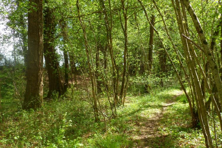 Les sources de la Théols à Ambrault & Bommiers - Agrandir l'image 6 sur 9, fenêtre modale