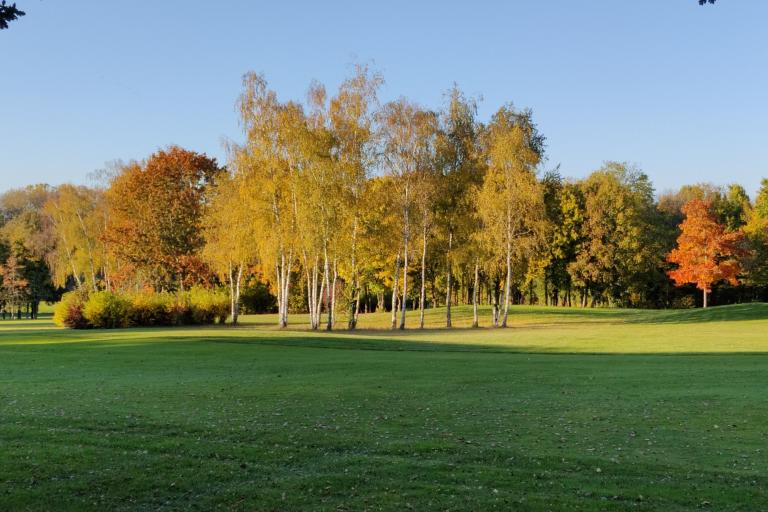 Agrandir l'image 6 sur 6, fenêtre modale