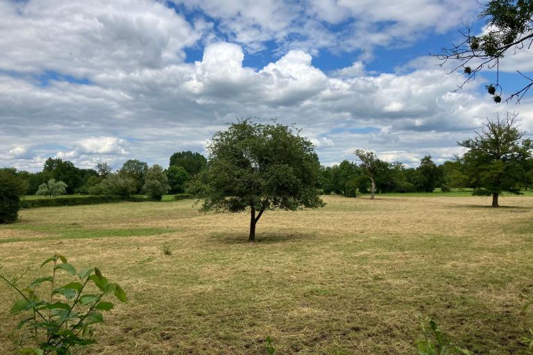 Les terres d'Urmont à Montgivray - Agrandir l'image 6 sur 6, fenêtre modale