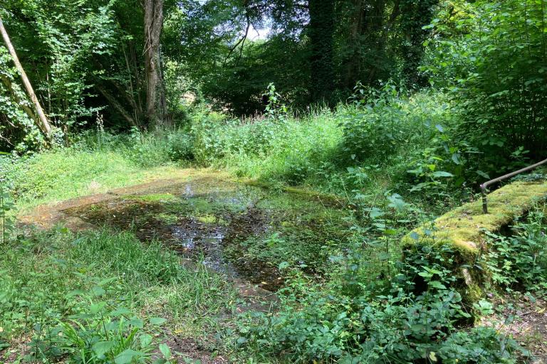 Les terres d'Urmont à Montgivray - Agrandir l'image 3 sur 6, fenêtre modale