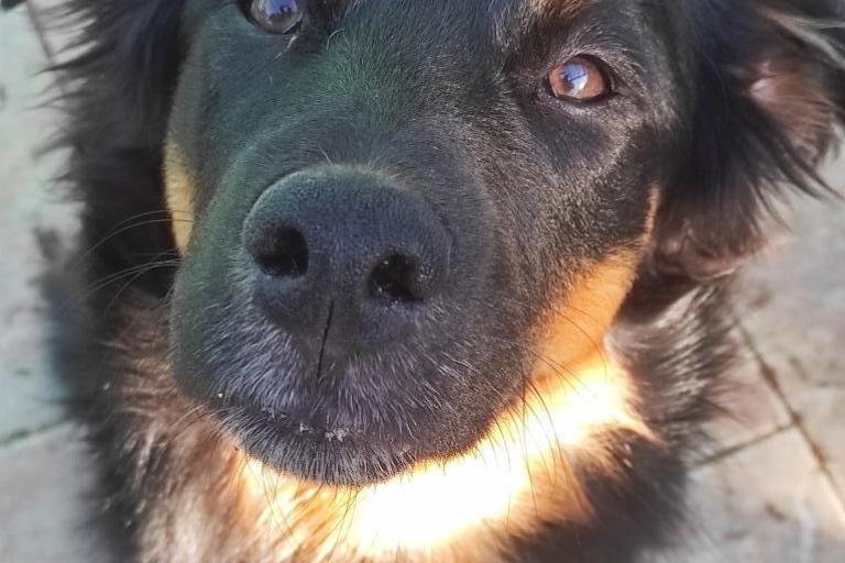 Agrandir l'image 5 sur 8, fenêtre modale