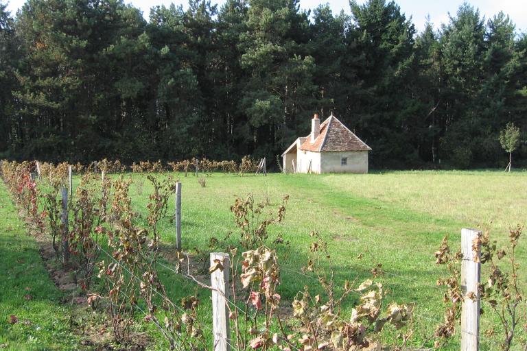 Les jardins de Beauregard au Magny - Agrandir l'image 3 sur 9, fenêtre modale