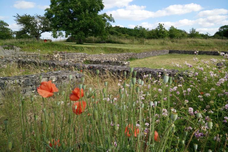 Le musée d'Argentomagus à Saint-Marcel - Agrandir l'image 8 sur 9, fenêtre modale