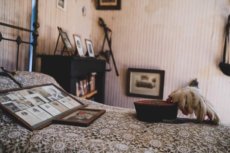 Agrandir l'image 3 sur 9, fenêtre modale