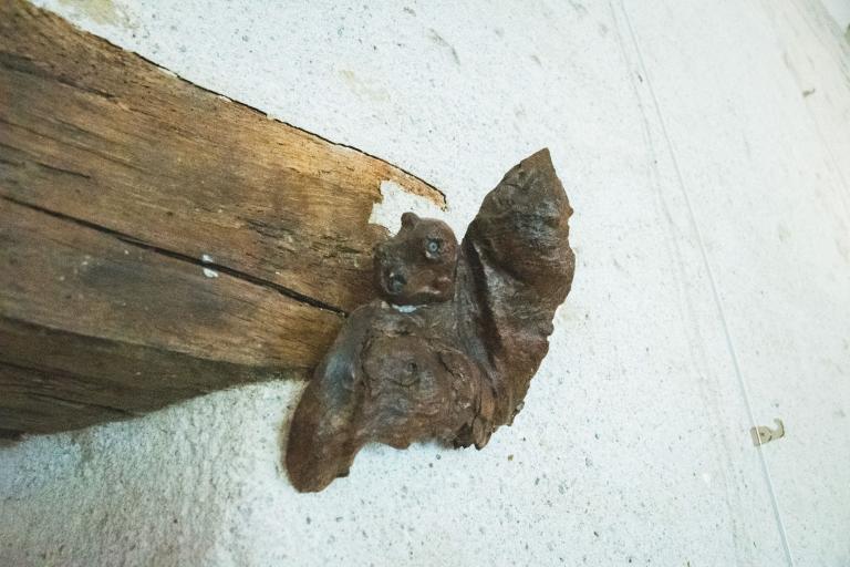 Agrandir l'image 6 sur 9, fenêtre modale