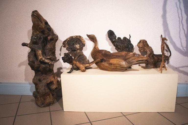 Le musée des racines à Thevet-Saint-Julien - Agrandir l'image 5 sur 9, fenêtre modale