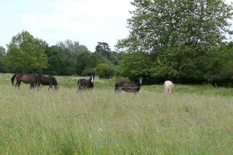 Le vallon de la Prée à Ségry - Agrandir l'image 3 sur 3, fenêtre modale