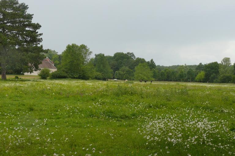 Le vallon de la Prée à Ségry - Agrandir l'image 1 sur 3, fenêtre modale