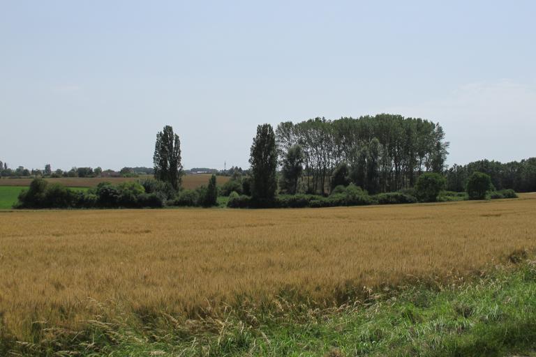 Les Effes et les Riaux à Val-Fouzon - Agrandir l'image 6 sur 6, fenêtre modale