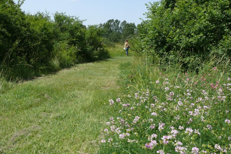 Les Effes et les Riaux à Val-Fouzon - Agrandir l'image 2 sur 6, fenêtre modale
