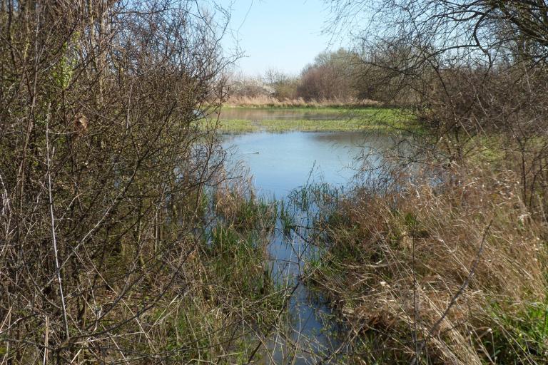Les Effes et les Riaux à Val-Fouzon - Agrandir l'image 4 sur 6, fenêtre modale