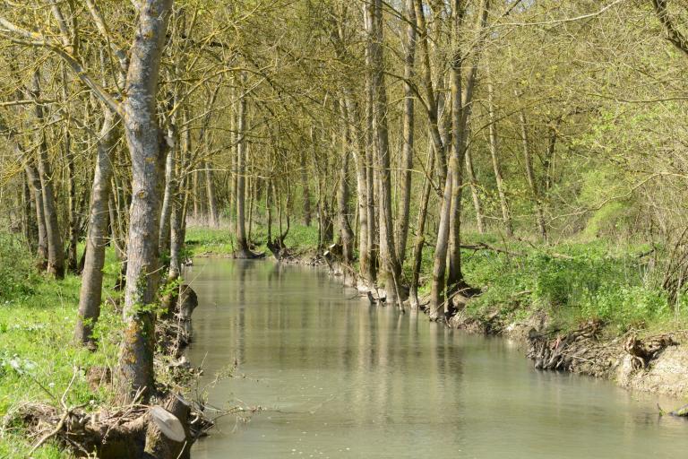 Les îles du Fouzon à Val-Fouzon - Agrandir l'image 5 sur 9, fenêtre modale