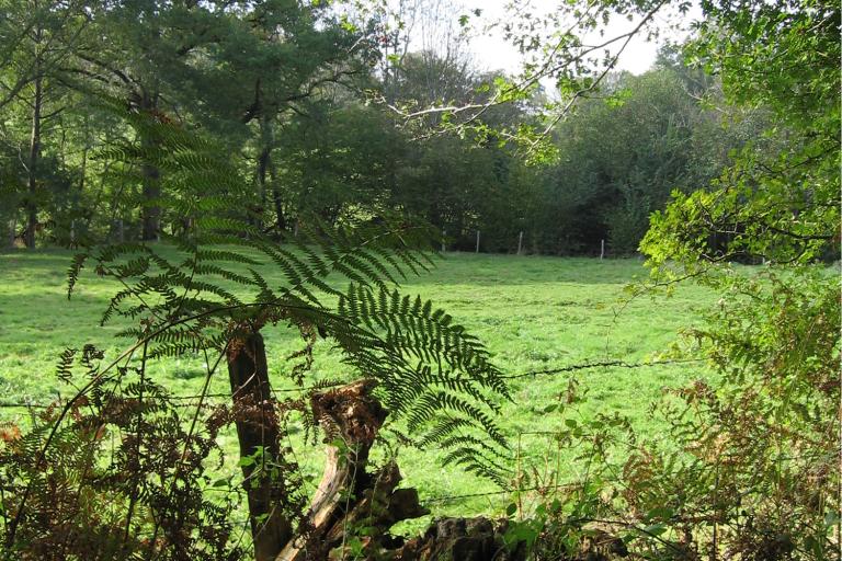 Les jardins de Beauregard au Magny - Agrandir l'image 4 sur 9, fenêtre modale