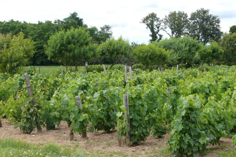 Les jardins de Beauregard au Magny - Agrandir l'image 6 sur 9, fenêtre modale