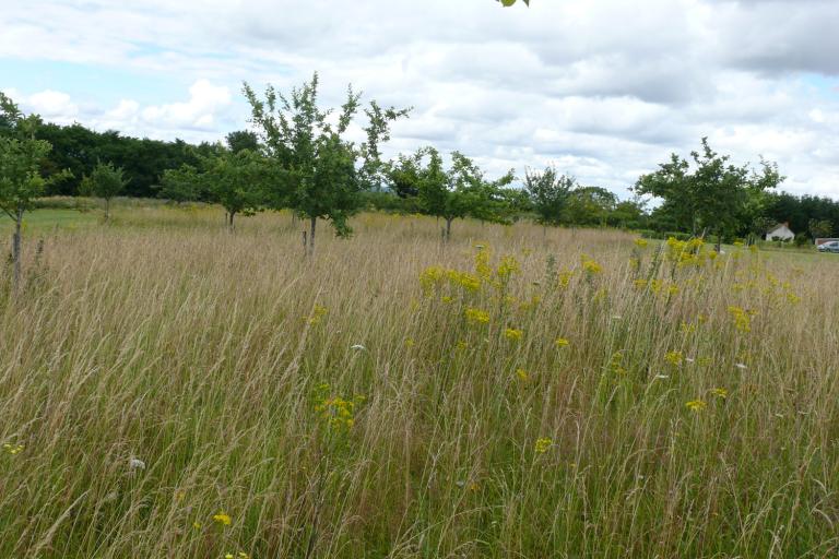 Les jardins de Beauregard au Magny - Agrandir l'image 5 sur 9, fenêtre modale