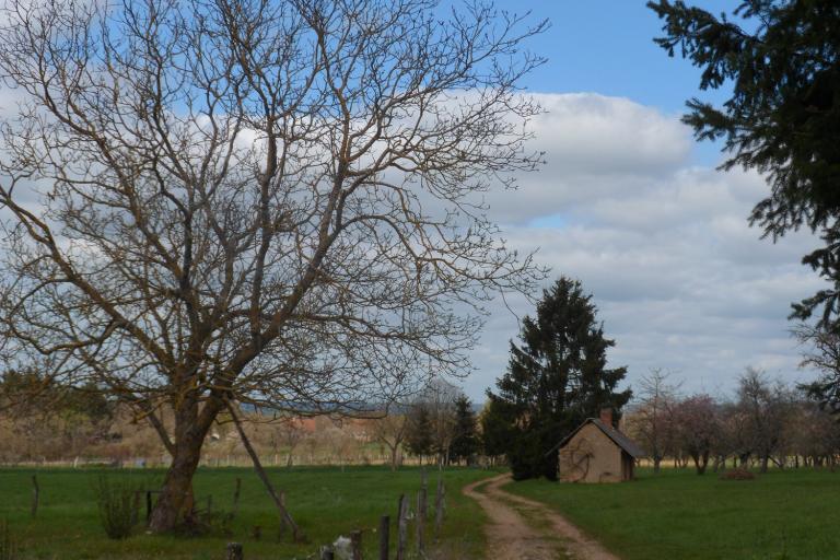 Les jardins de Beauregard au Magny - Agrandir l'image 2 sur 9, fenêtre modale