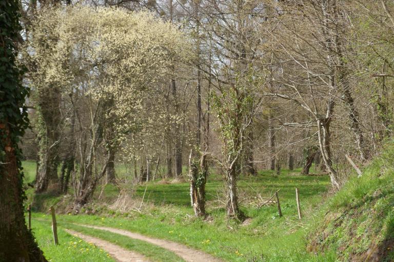 Les jardins de Beauregard au Magny - Agrandir l'image 1 sur 9, fenêtre modale