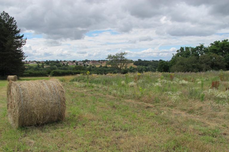 Les jardins de Beauregard au Magny - Agrandir l'image 9 sur 9, fenêtre modale