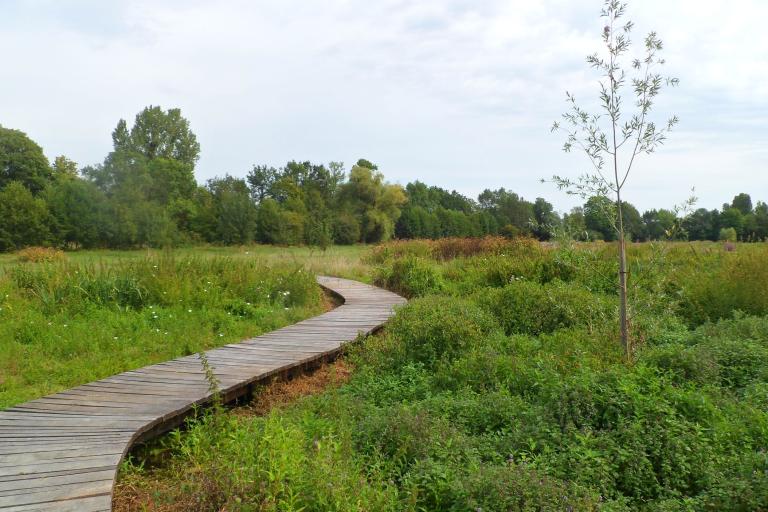Les prairies du château à Valençay - Agrandir l'image 4 sur 6, fenêtre modale