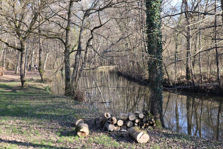 Les prés du canal à Mézières-en-Brenne - Agrandir l'image 9 sur 9, fenêtre modale