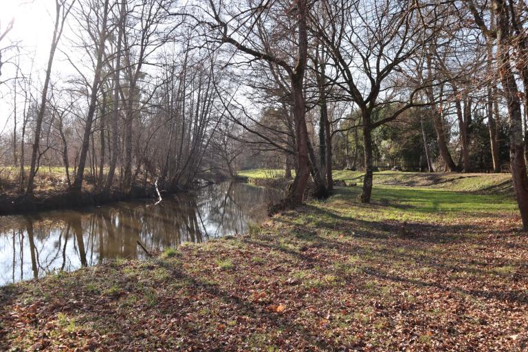 Les prés du canal à Mézières-en-Brenne - Agrandir l'image 5 sur 9, fenêtre modale