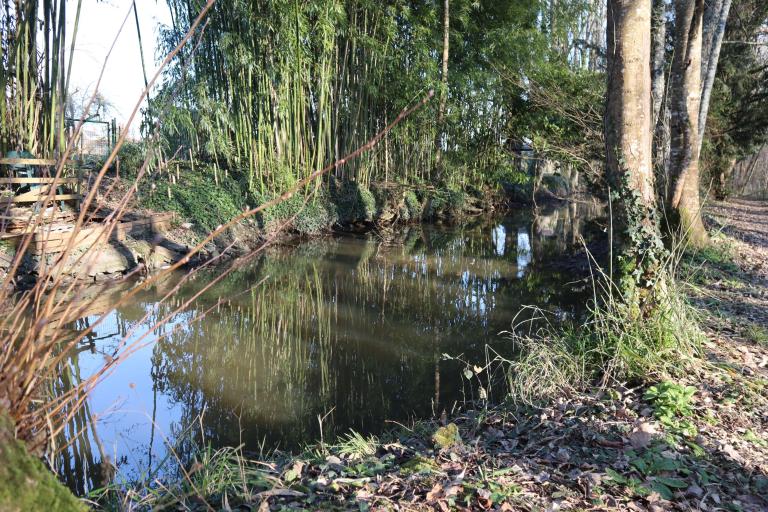 Les prés du canal à Mézières-en-Brenne - Agrandir l'image 2 sur 9, fenêtre modale
