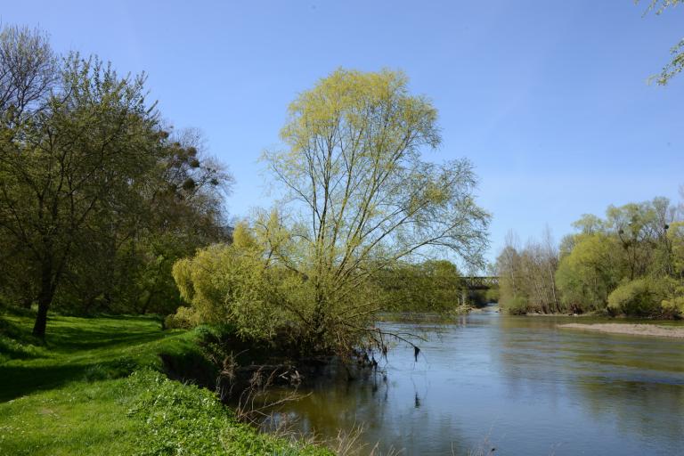 L'île du moulin - Agrandir l'image 8 sur 9, fenêtre modale