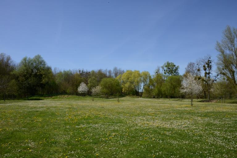 L'île du moulin - Agrandir l'image 7 sur 9, fenêtre modale