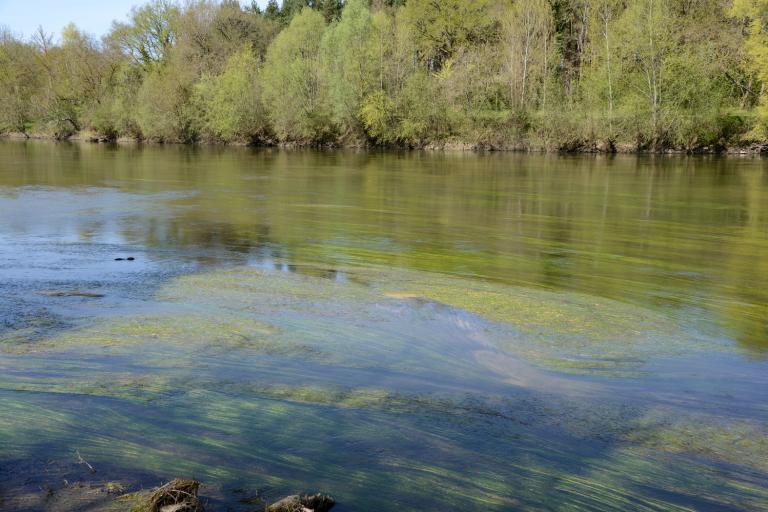 L'île du moulin - Agrandir l'image 9 sur 9, fenêtre modale