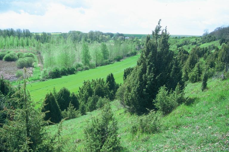 Le marais de la Presle à Saint-Georges-sur-Arnon - Agrandir l'image 1 sur 3, fenêtre modale