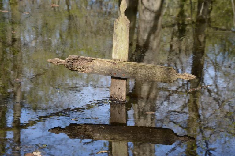 La Mare au Diable à Mers-sur-Indre - Agrandir l'image 2 sur 3, fenêtre modale