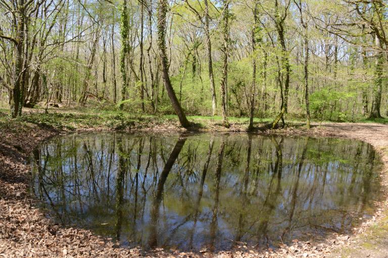 La Mare au Diable à Mers-sur-Indre - Agrandir l'image 3 sur 3, fenêtre modale