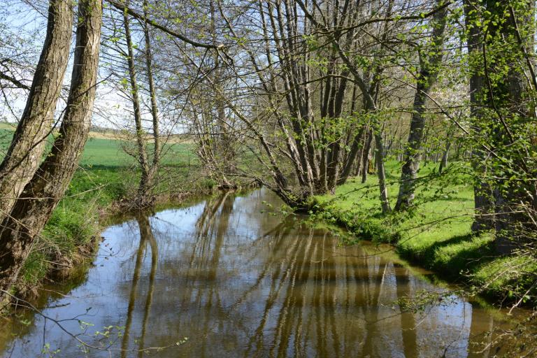 Le moulin d'Angibault à Montipouret - Agrandir l'image 9 sur 9, fenêtre modale