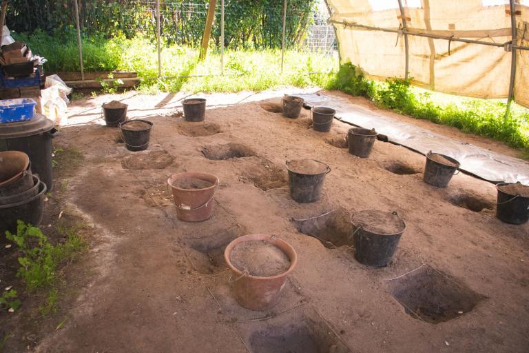 Le musée archéologique de Martizay - Agrandir l'image 7 sur 9, fenêtre modale