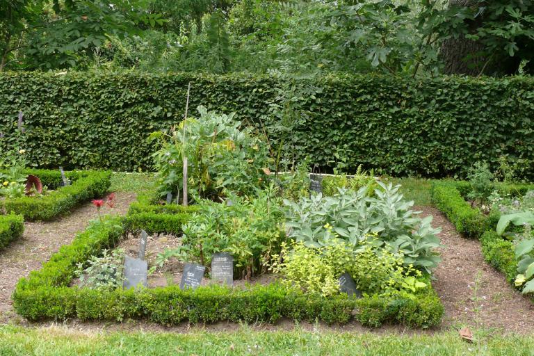 L'île du moulin - Agrandir l'image 6 sur 9, fenêtre modale