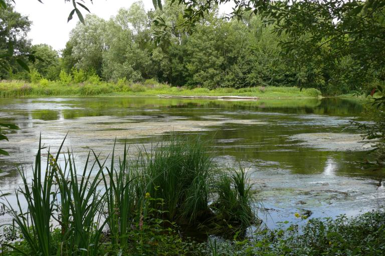 L'île du moulin - Agrandir l'image 4 sur 9, fenêtre modale