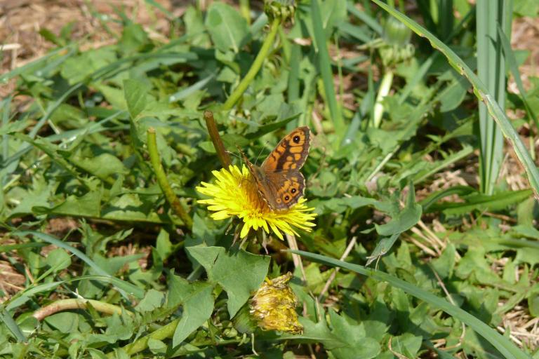 Les îles du Fouzon à Val-Fouzon - Agrandir l'image 6 sur 9, fenêtre modale