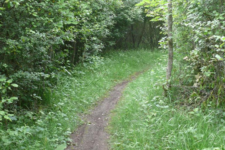 Le bois de la Ringoire à Déols - Agrandir l'image 4 sur 9, fenêtre modale