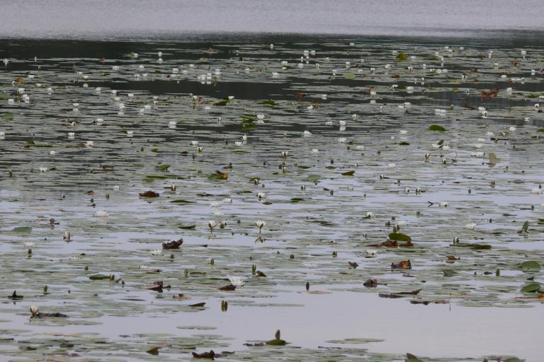 Le site de Bellebouche à Mézières-en-Brenne - Agrandir l'image 7 sur 9, fenêtre modale