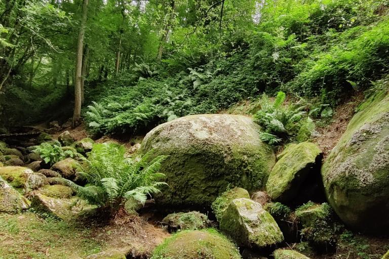 Le parc des Parelles à Crevant - Agrandir l'image 7 sur 9, fenêtre modale
