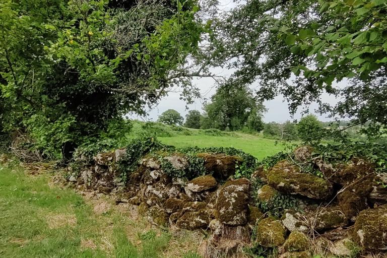 Le parc des Parelles à Crevant - Agrandir l'image 4 sur 9, fenêtre modale
