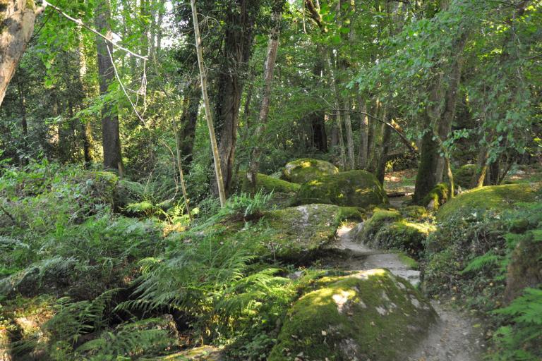 Le parc des Parelles à Crevant - Agrandir l'image 2 sur 9, fenêtre modale