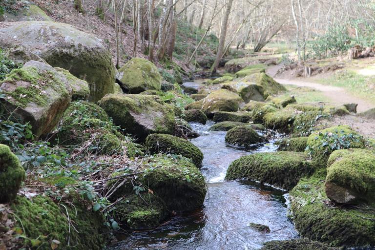 Le parc des Parelles à Crevant - Agrandir l'image 1 sur 9, fenêtre modale
