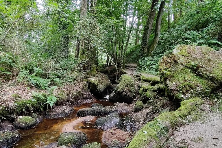Le parc des Parelles à Crevant - Agrandir l'image 6 sur 9, fenêtre modale