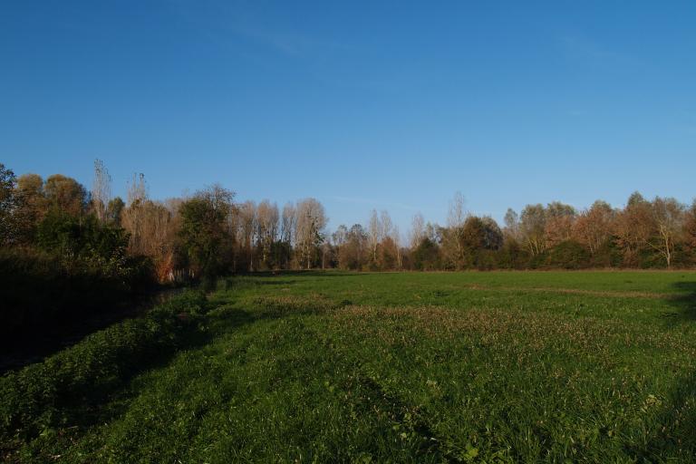 Les prairies de l'Arnon à Reuilly - Agrandir l'image 2 sur 9, fenêtre modale