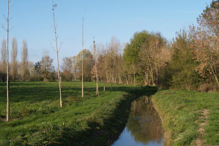 Les prairies de l'Arnon à Reuilly - Agrandir l'image 9 sur 9, fenêtre modale